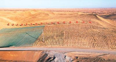 1744697389252385.jpg 14.jpg