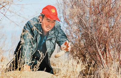 1744697402910992.jpg 16.jpg