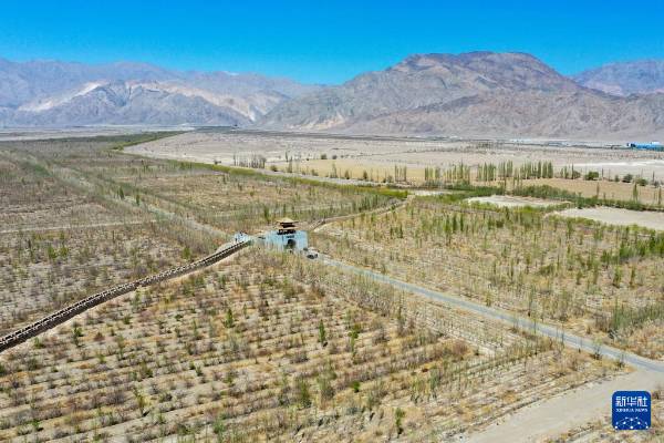 1744698093338352.jpg 19.jpg