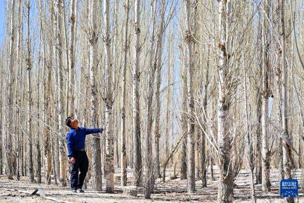 1744698109266087.jpg 20.jpg