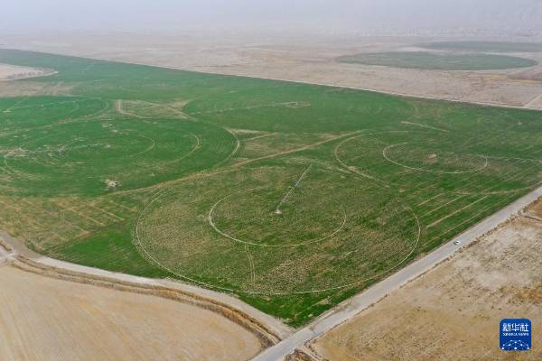 1744698129457043.jpg 22.jpg