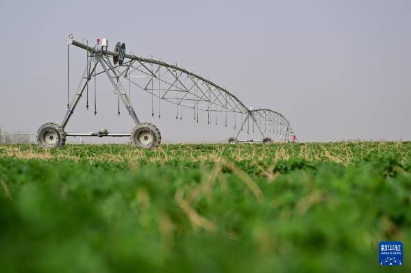 1744698136762796.jpg 23.jpg