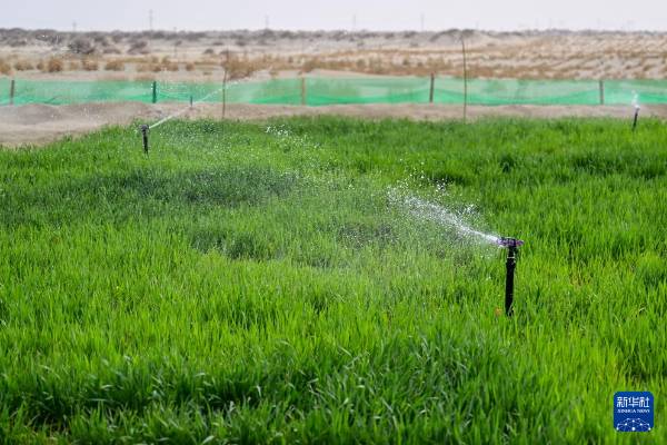 1744698146609752.jpg 24.jpg