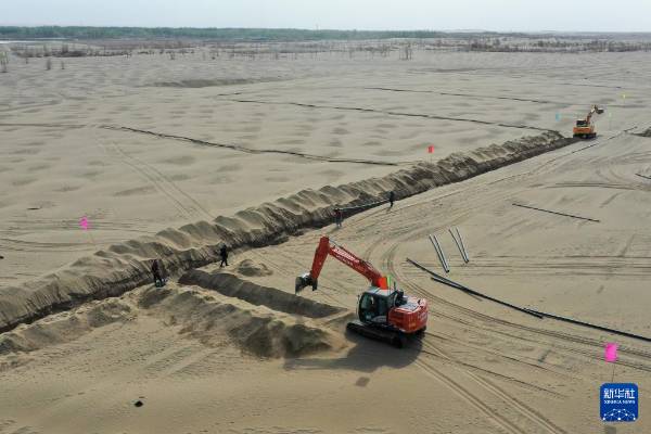 1744698154552282.jpg 25.jpg