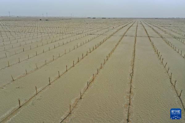 1744698261601695.jpg 27.jpg