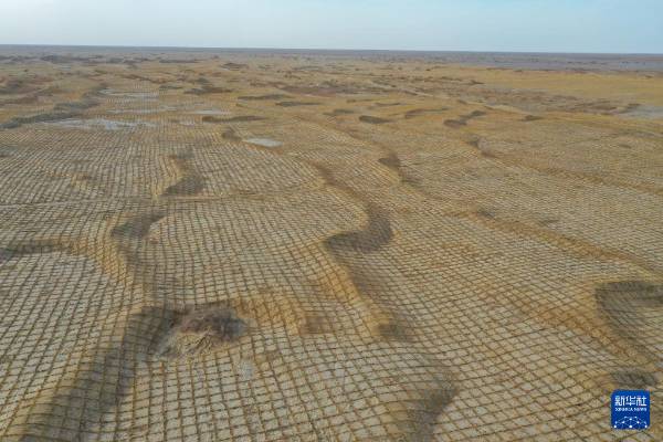 1744698278388332.jpg 29.jpg