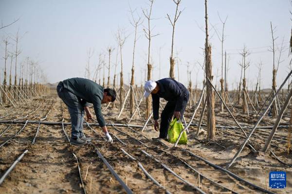 1744698428544105.jpg 32.jpg