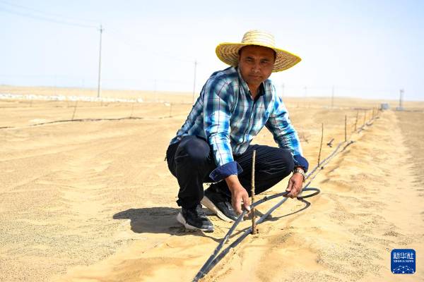 1744698434139272.jpg 33.jpg