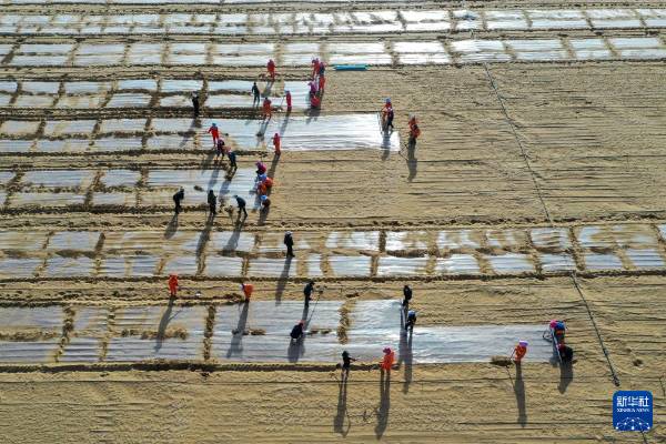 1744698439216457.jpg 34.jpg