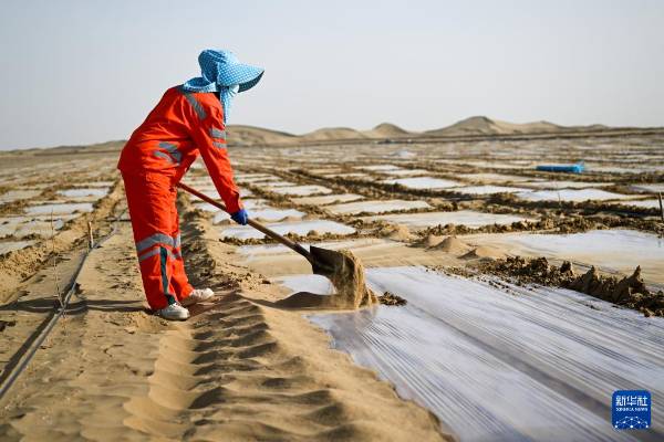 1744698445161410.jpg 35.jpg