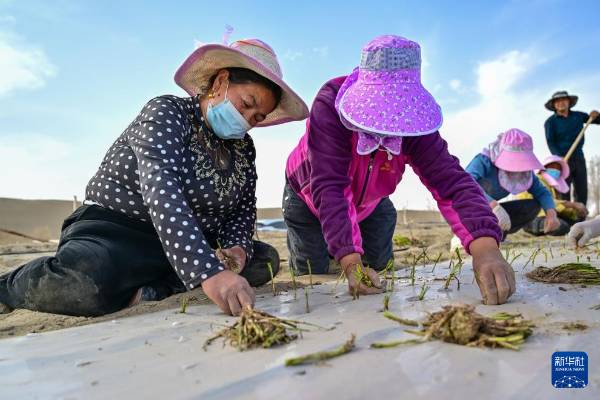 1744698456402990.jpg 36.jpg