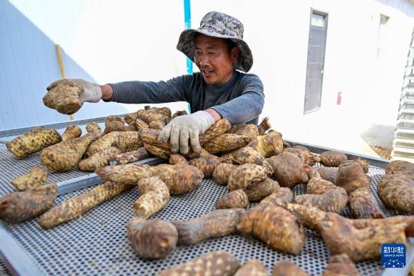 1744698462617691.jpg 37.jpg