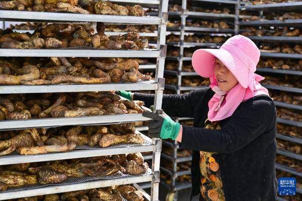 1744698469517569.jpg 38.jpg