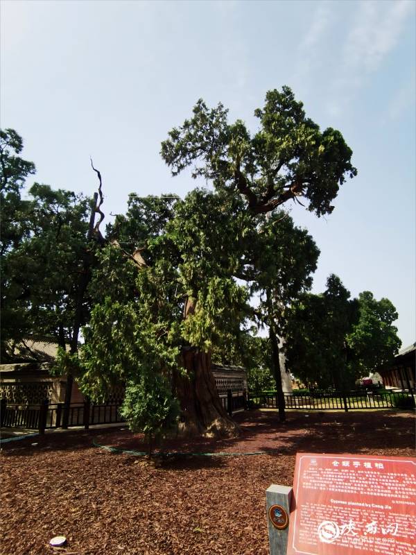 1744781040341631.jpg 1.jpg