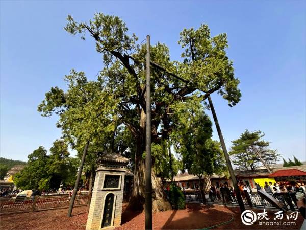 1744781051162239.jpg 2.jpg