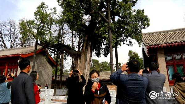 1744781069726093.jpg 3.jpg