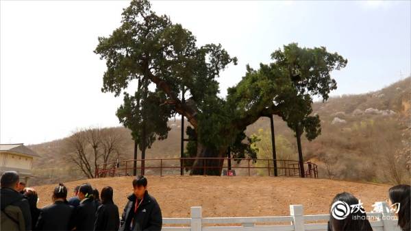 1744781092884657.jpg 4.jpg