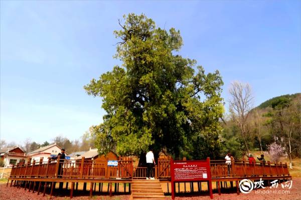 1744781107648116.jpg 5.jpg