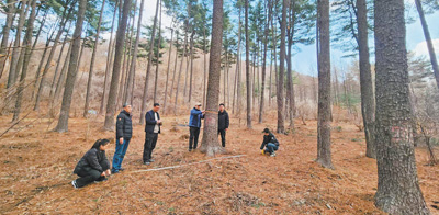 1744781690385017.jpg 1.jpg