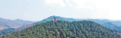 1744781702909067.jpg 3.jpg