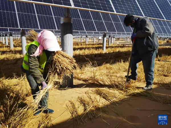 1744783315571250.jpg 4.jpg