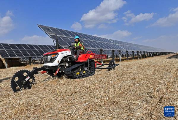 1744783323180287.jpg 5.jpg