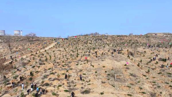 1744783392542530.jpg 6.jpg