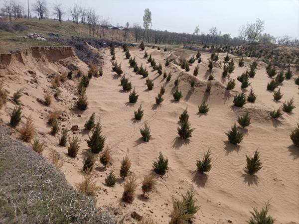 1744783406450747.jpg 7.jpg