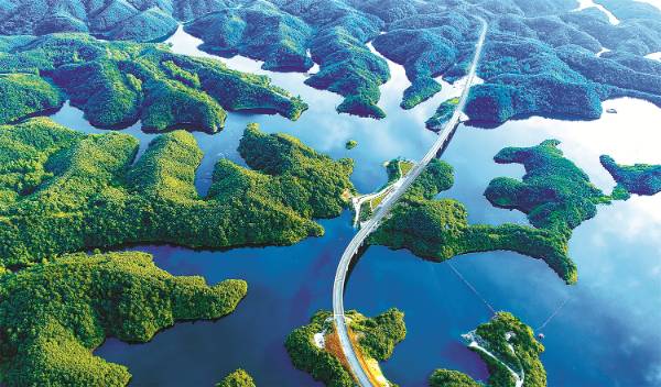 1744783496369374.jpg 8.jpg