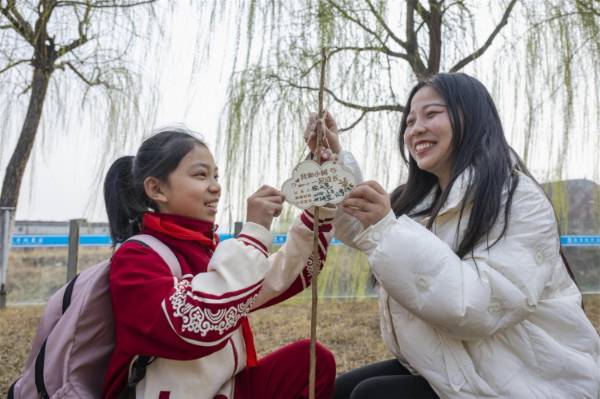 1744783541295646.jpg 9.jpg