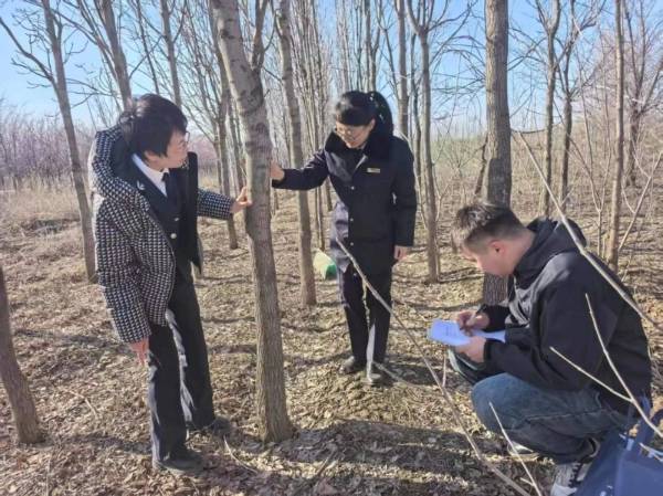 1744783765450863.jpg 10.jpg