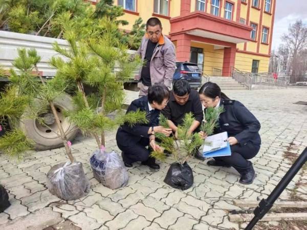 1744783776388316.jpg 11.jpg