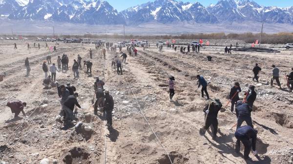 1744783897958433.jpg 13.jpg