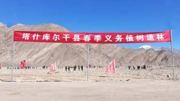 1744783913793781.jpg 14.jpg