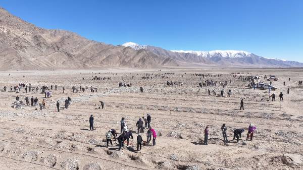 1744783917214561.jpg 15.jpg