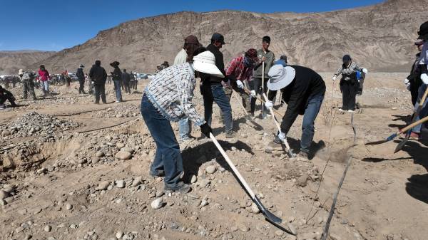 1744783927188717.jpg 16.jpg