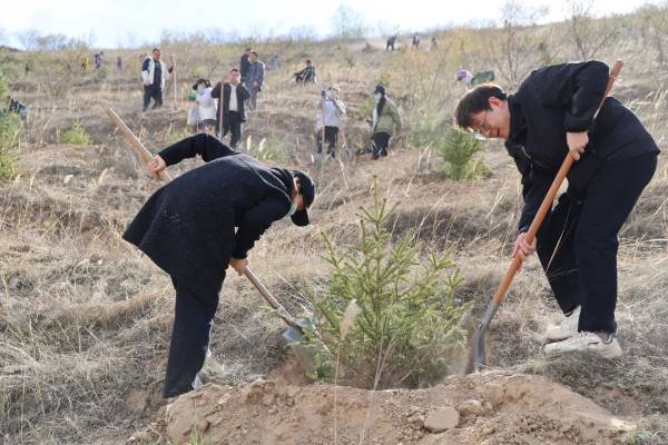 1744785894314952.jpg 19.jpg