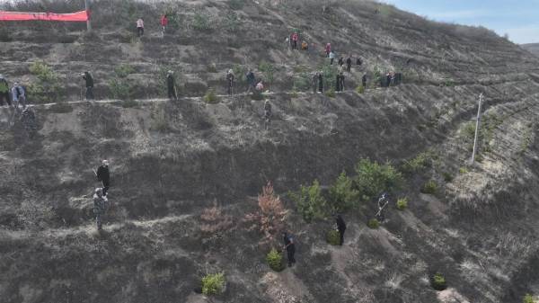 1744785912475083.jpg 21.jpg