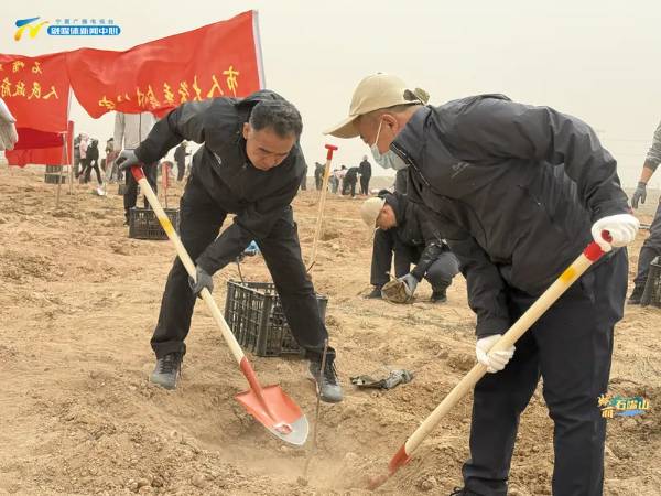 1744853063155413.jpg 3 (1).jpg