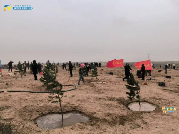 1744853073848934.jpg 4 (1).jpg