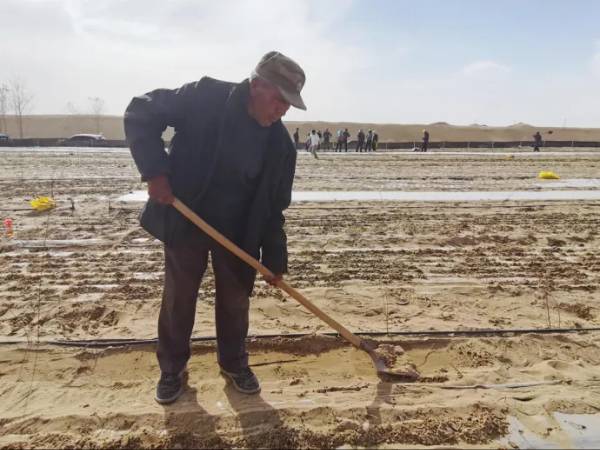 1744857990276451.jpg 3 (1).jpg