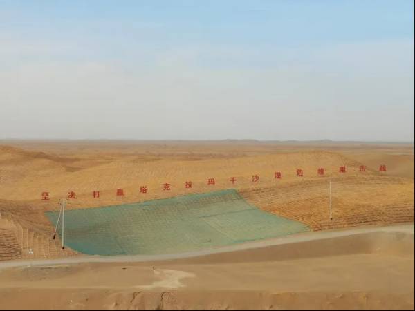 1744858020710091.jpg 1 (1).jpg