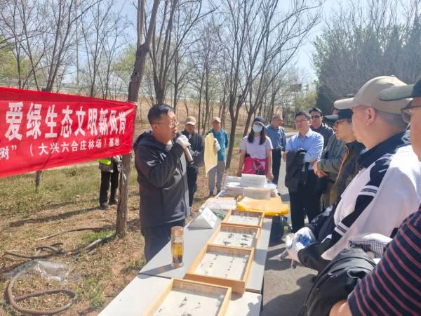 1744858660684768.jpg 1.jpg