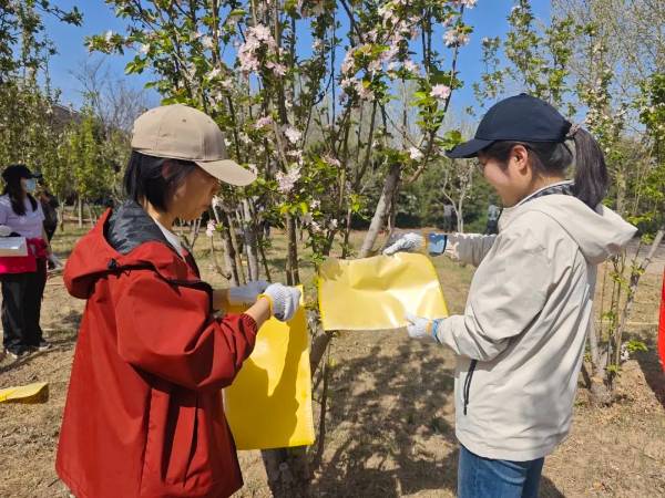 1744858663965187.jpg 2.jpg