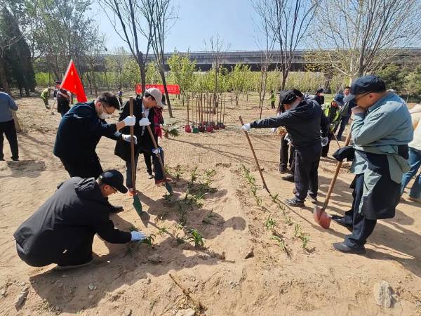 1744858690376749.jpg 4.jpg