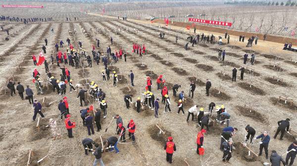 1744952754443796.jpg 1 (1).jpg