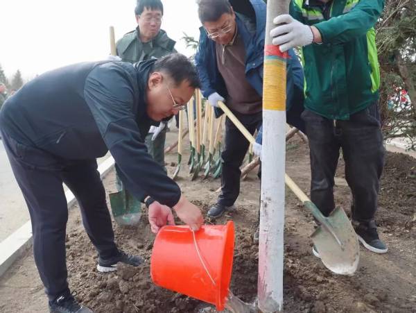 1744953237201258.jpg 1.jpg