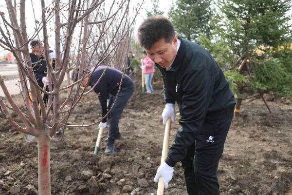 1744953284649108.jpg 2.jpg