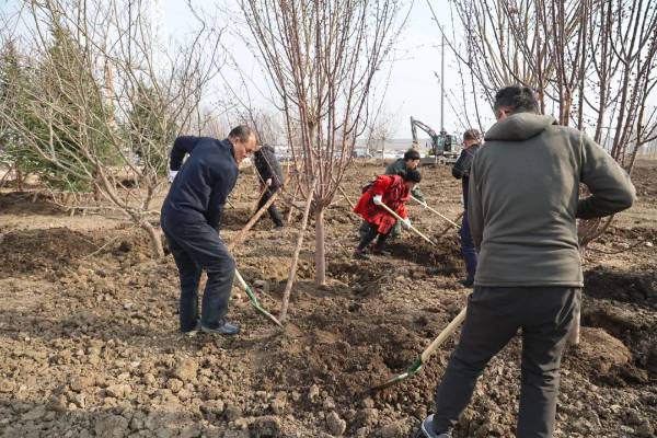 1744953293167857.jpg 3.jpg