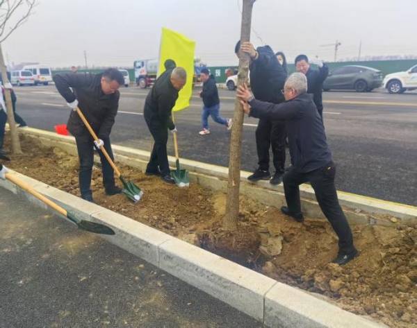 1744953689600019.jpg 10.jpg